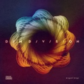 Dim Division artwork