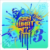 Say What!? artwork