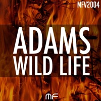 Wild Life - Single - Patrick Adams