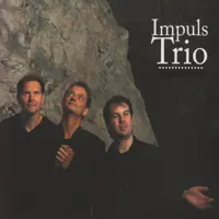 Ringridningspolka — Impuls Trio
