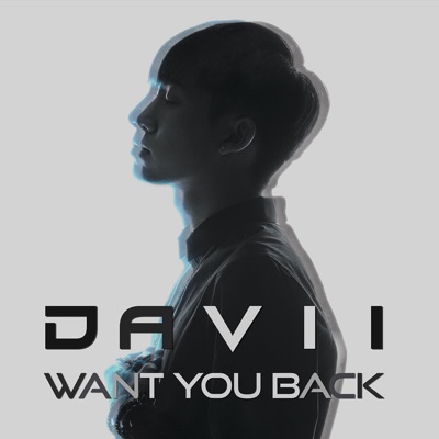 Want You Back - Single