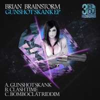 The Gunshot Skank - Single - Brian Brainstorm