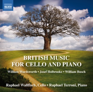 Cello Sonata No. 2 in G Minor, Op. 66: III. in tempo - Poco più mosso - Allegro risoluto - Largamente