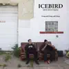 Going And Going And Going