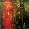 Never Again (George FitzGerald Remix) - Colo lyrics