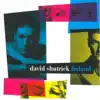 David Shutrick - Container