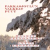 Pakkasjoulun valkeat puut - Single