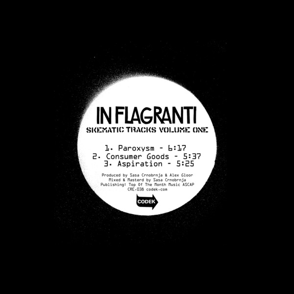In Flagranti Presents Skematic Tracks Volume 1 - Single