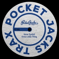Steve Synfull - Every Little Thing