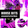 Best of House Bits 24 - Various Artists