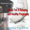 Pregnancy Paradise 1 (Music For a Relaxing and Healthy Pregnancy) - Raimond Lap