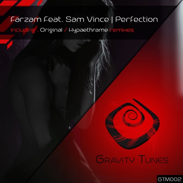 Perfection (feat. Sam Vince) - Single