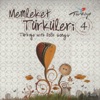 Memleket Türküleri, Vol. 4 (Türkiye with Folk Songs), 2015