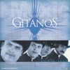 Los Gitanos del Norte - El Tímido