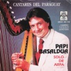 Papi Basaldua - Selección De Polkas: Itapúa Poty / Misiones Ñu / Flor de Pilar / Paraguarí / Ne Pora Che Paraguay
