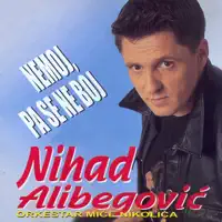 Nemoj Pa Se Ne Boj — Nihad Alibegovic