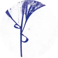 Stephan — Mikkel Metal