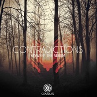 Contradictions - Skyweep