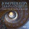 Violin Concerto in A Major, Hob. VIIa:3: III. Allegro artwork