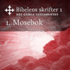 1. Mosebok: Bibel2011 - Bibelens skrifter 1 - Det Gamle Testamentet - KABB