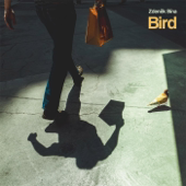 Cover art for Bird by Zdenek Bina