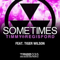 Sometimes (feat. Tiger Wilson) - Single - Timmy Regisford