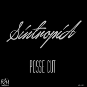 Posse Cut - Sintropia