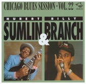 Billy Branch & Hubert Sumlin - Hubert Sumlin - You Can't Change Me