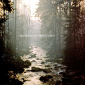 Mixed Forest - EP - Northern Lite