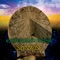 Ancient Days - Emerald Rose lyrics