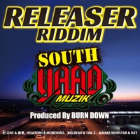 Releaser Riddim - EP - BURN DOWN(V.A)