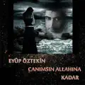 Seviyorum Sen