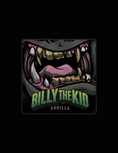 Billy the Kidを聴いたり、ミュージックビデオを鑑賞したり、経歴やツアー日程などを確認したりしましょう！