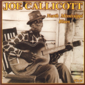 North Mississippi Blues - Joe Callicott
