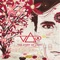 No More Amsterdam (feat. Aimee Mann) - Steve Vai lyrics