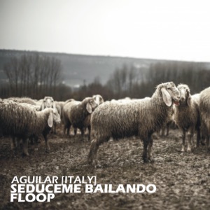 Seduceme Bailando, Floop - Single