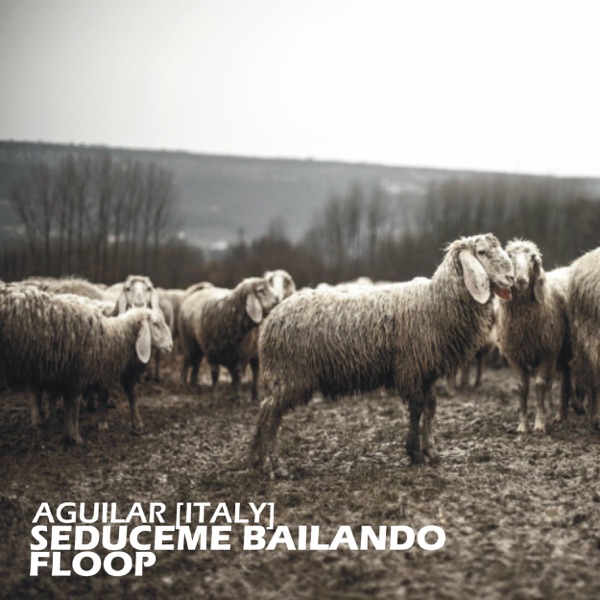 Seduceme Bailando, Floop - Single