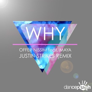 Why (feat. Maya) - Single