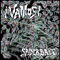 Spiderbait - Vamos lyrics
