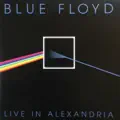 Have A Cigar (Live)