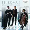 Musica Ad Rhenum - Flute Sonata XII in D Major, BeRI 212: II. Allegro