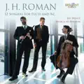 Flute Sonata XII in D Major, BeRI 212 [J.H. Roman]