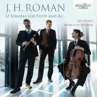 Flute Sonata IV in G Major, BeRI 204: II. Allegro — Musica Ad Rhenum