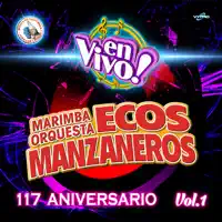 Cuando Te Vayas (En Vivo) — Marimba Orquesta Ecos Manzaneros
