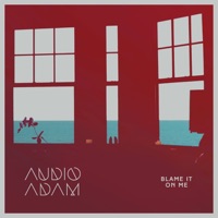 Blame It On Me