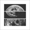 Rookie (Takkyu Ishino Remix) - sakanaction lyrics