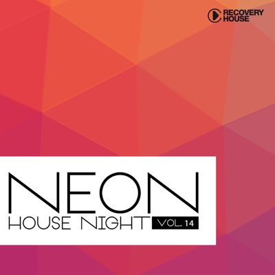 Neon House Night, Vol. 14