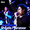 Greatest Hits of Shazia Manzoor