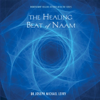 The Healing Beat of Naam - Dr. Joseph Michael Levry