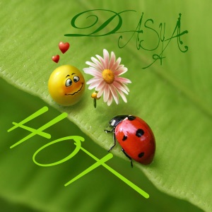 Hot - Single